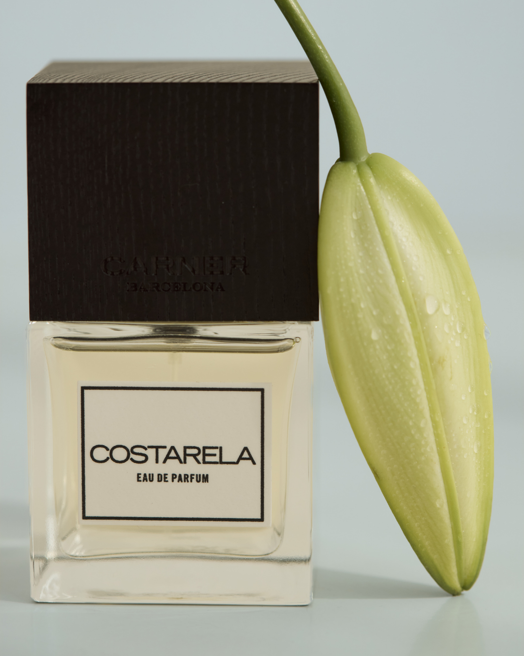 A bottle of COSTARELA Eau de Parfum with a green lily flower attached to it, against a light background.