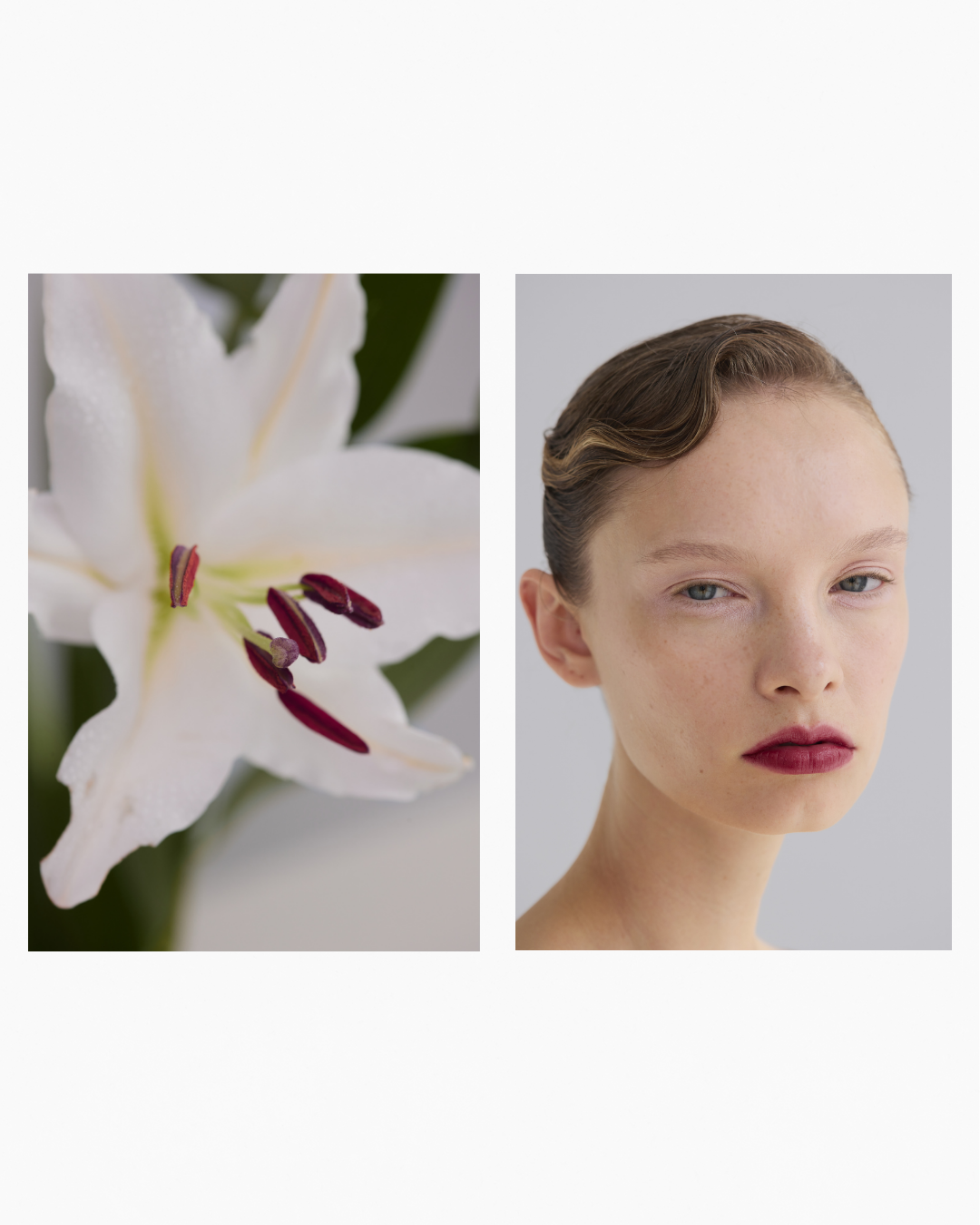 Close-up of a white lily flower with purple stamens on the left, and a portrait of a woman with fair skin and makeup on the right.