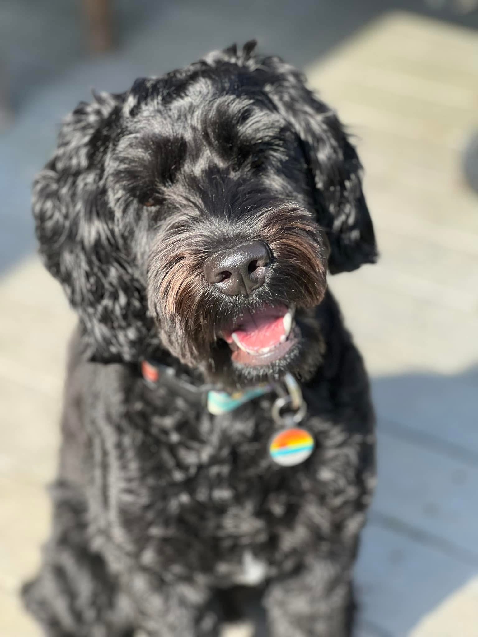 Reggie