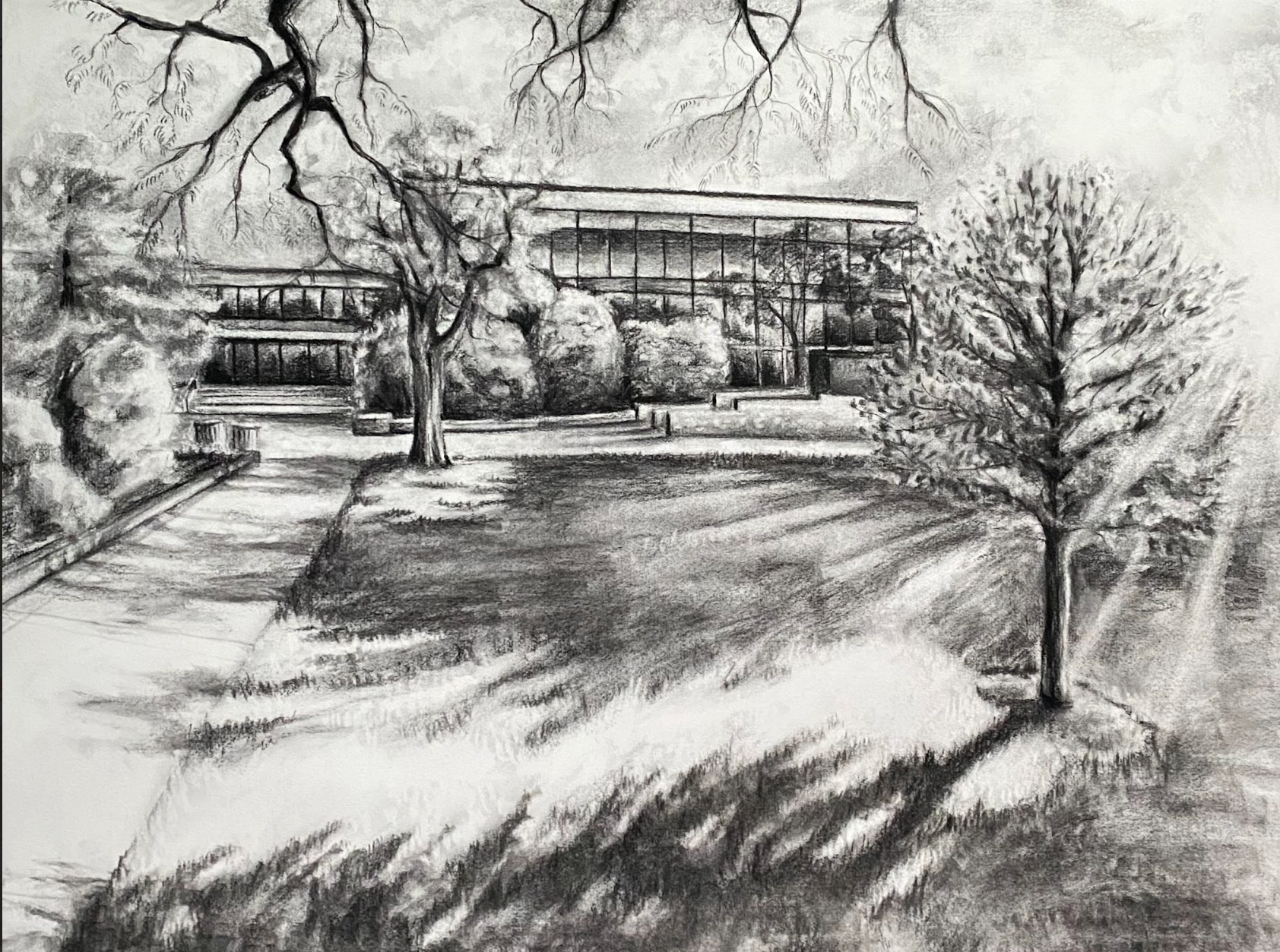 Untitled (Kean. Vaughn-Eames)
Charcoal on paper
2024