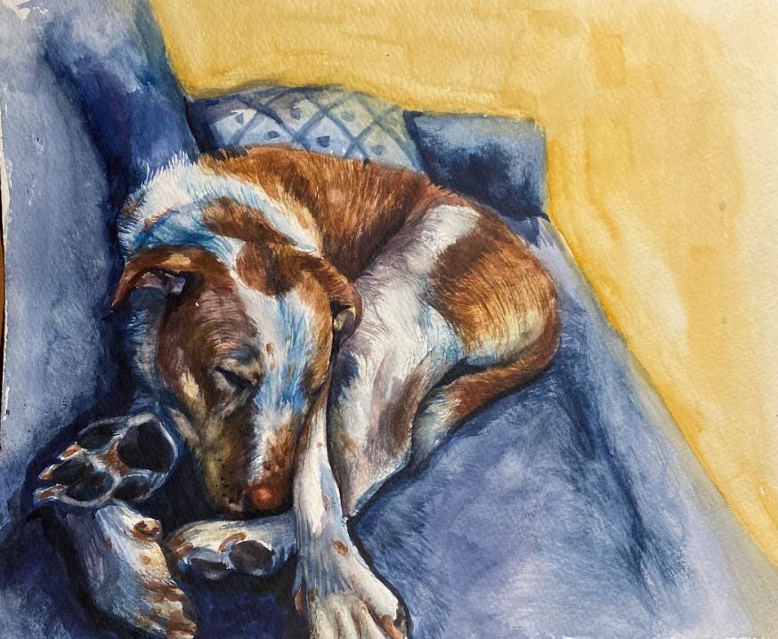 Sadie Paws
Watercolor on paper
2025