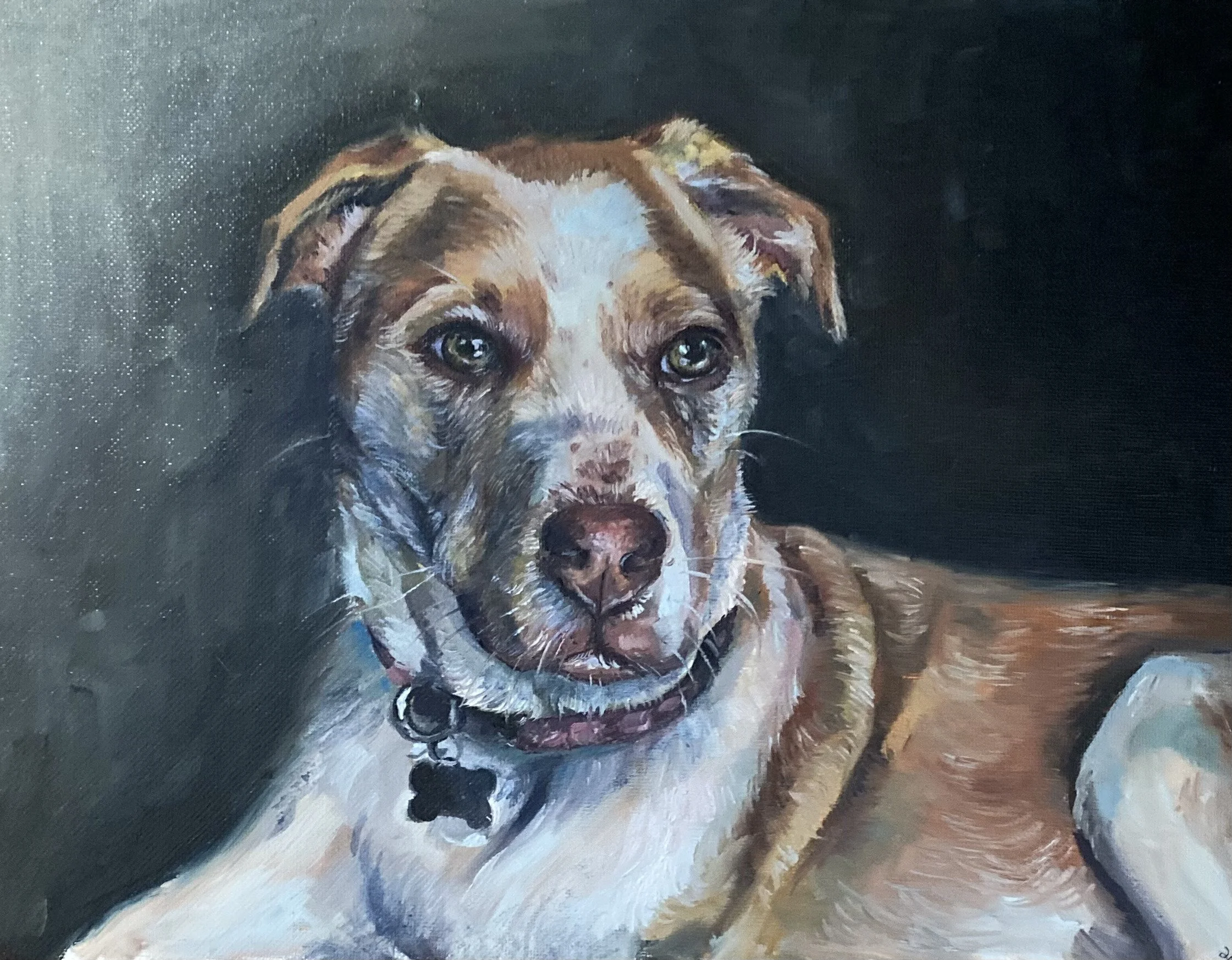 Sadie 
Oil on canvas
2024