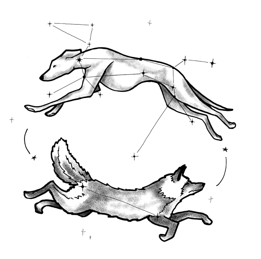 Canis Major/Minor Tattoo Design
2024