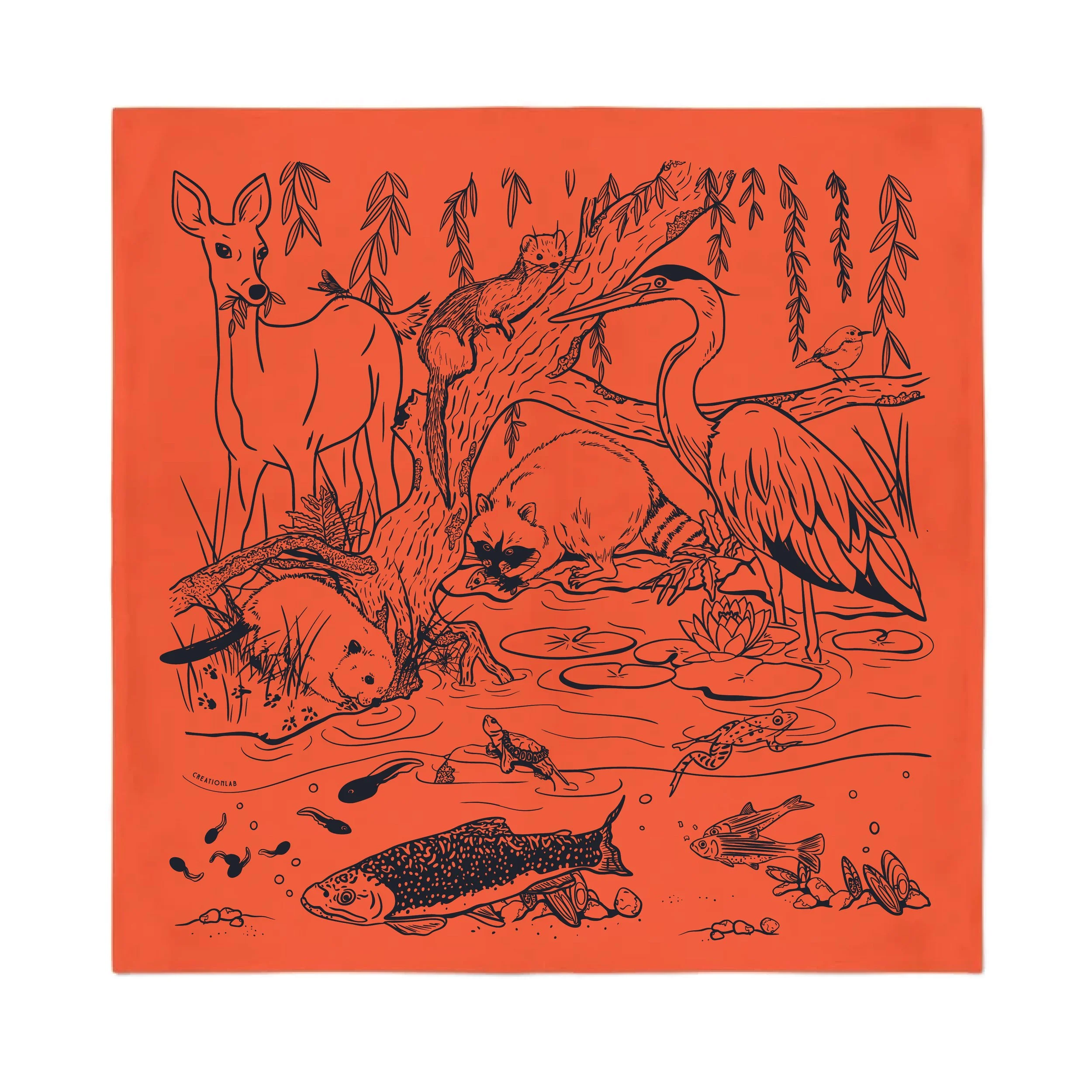 Brook Bandana Orange for Web.jpg