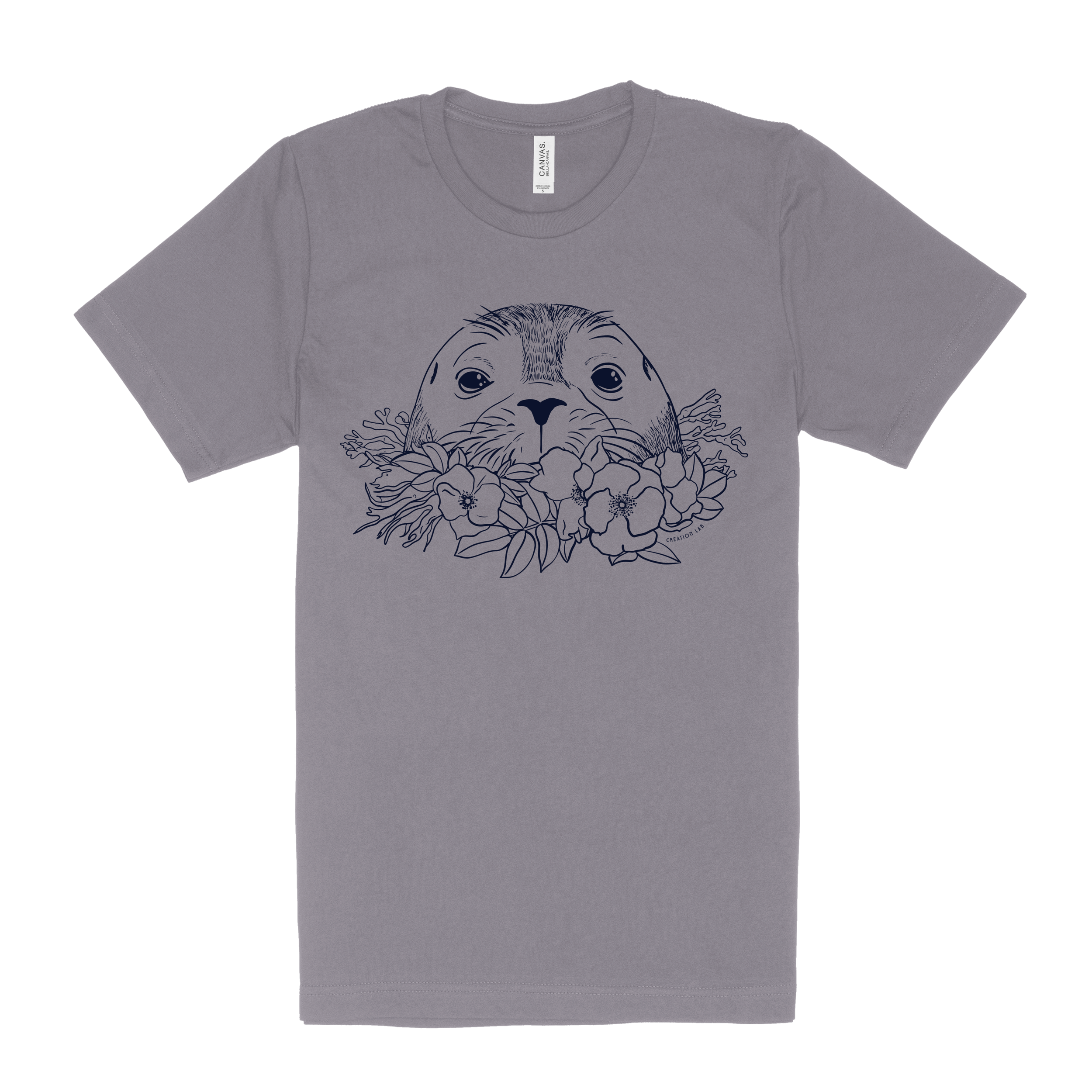 3001-harbor-seal.png