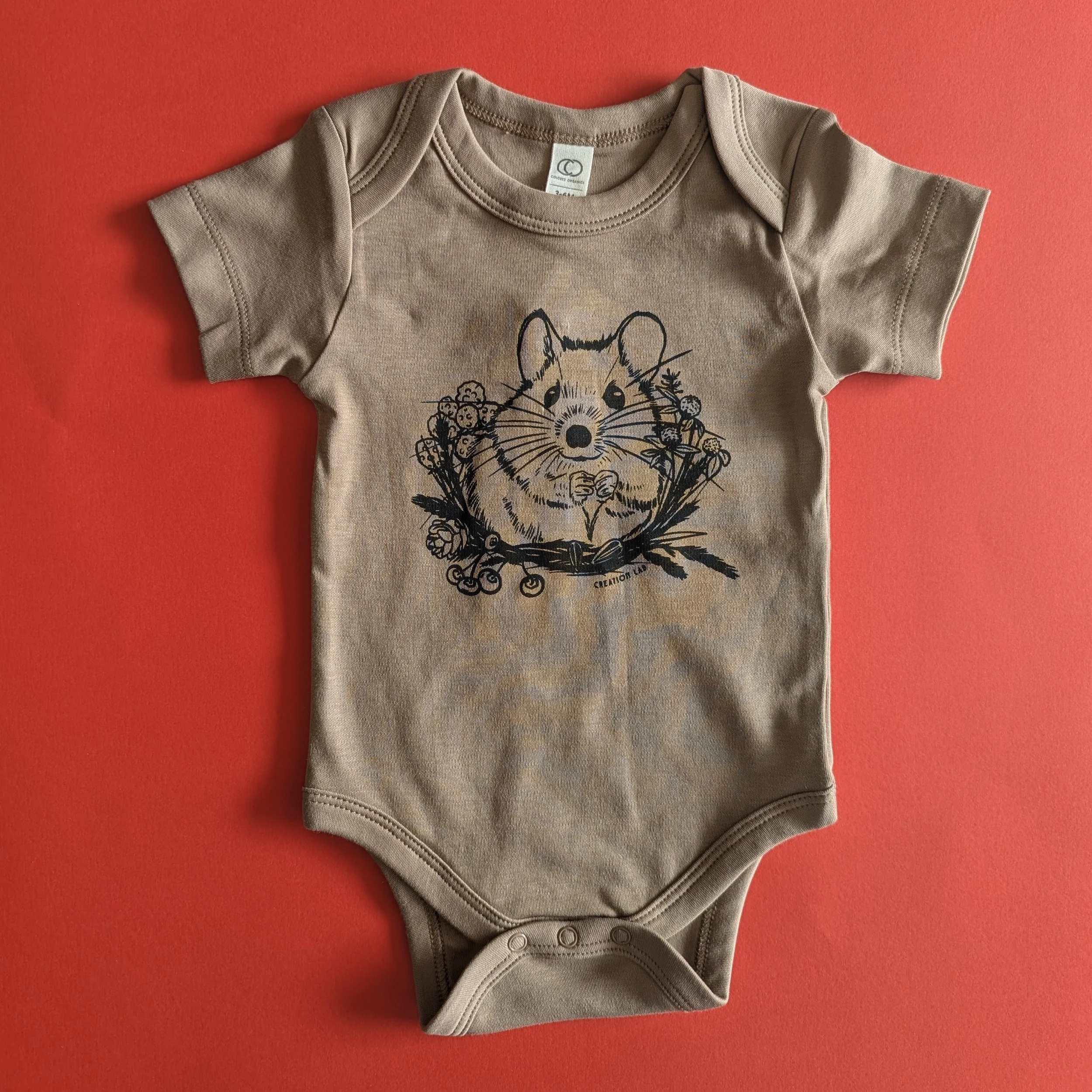Baby Little Mouse