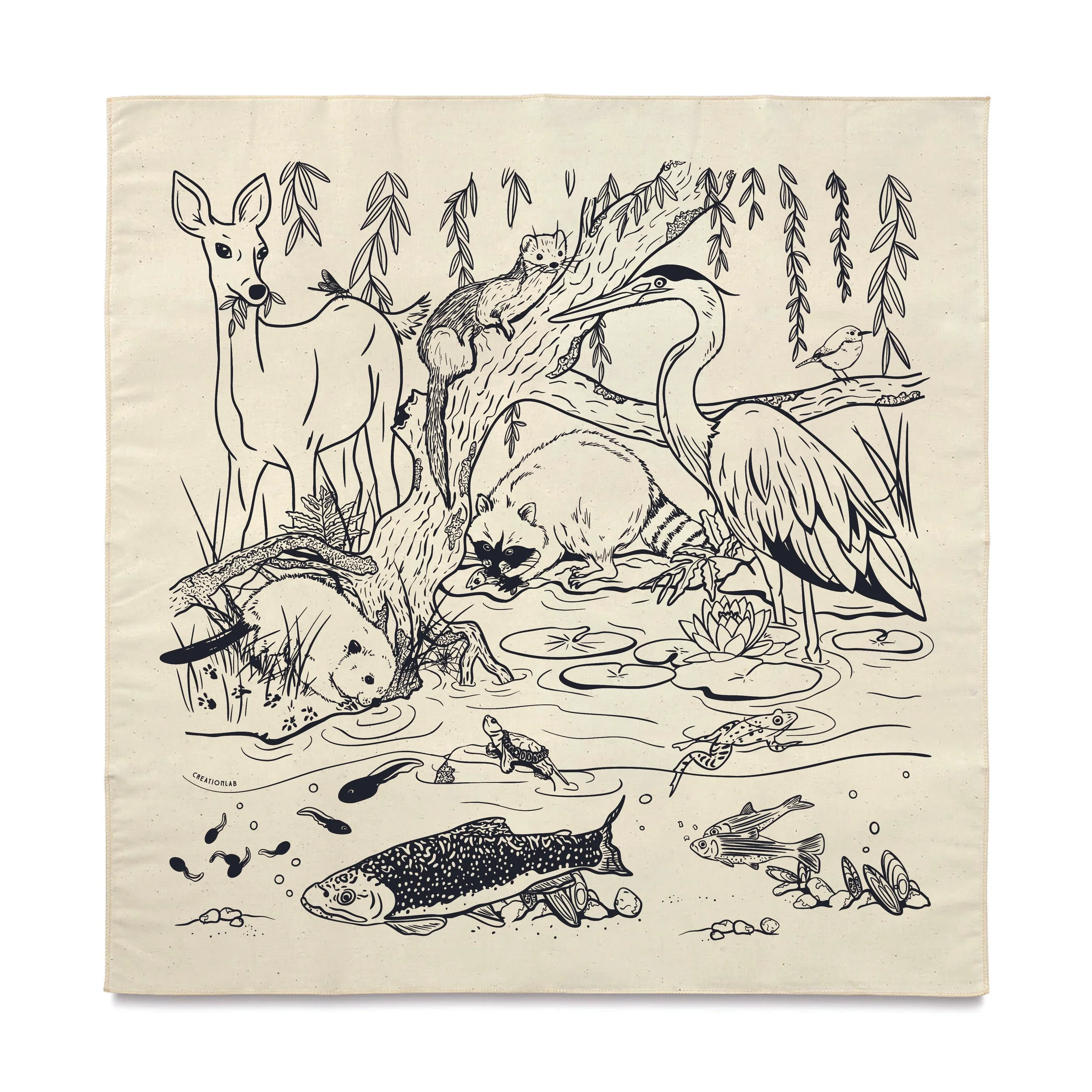 Brook Bandana for Web.jpg
