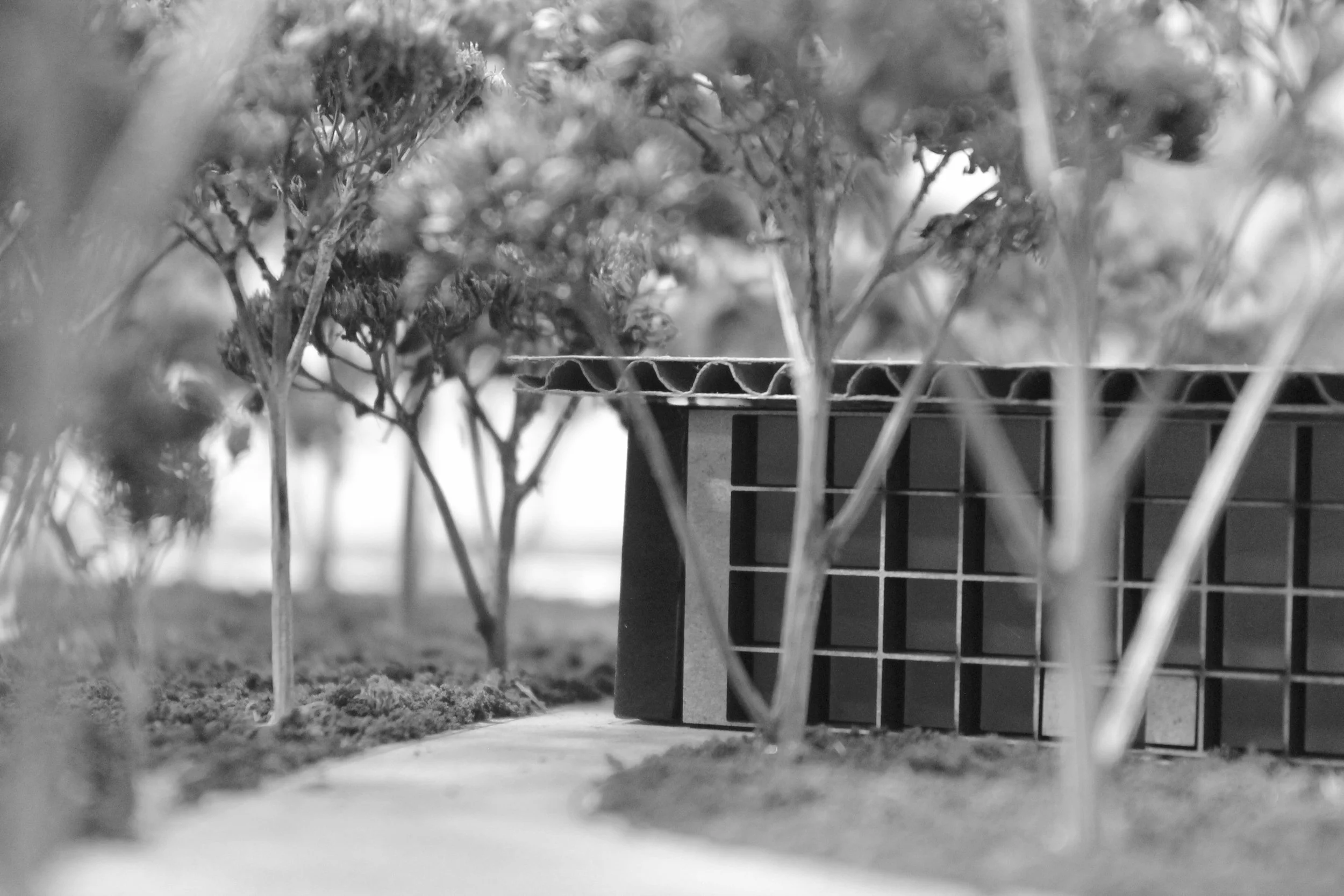 Site model photography