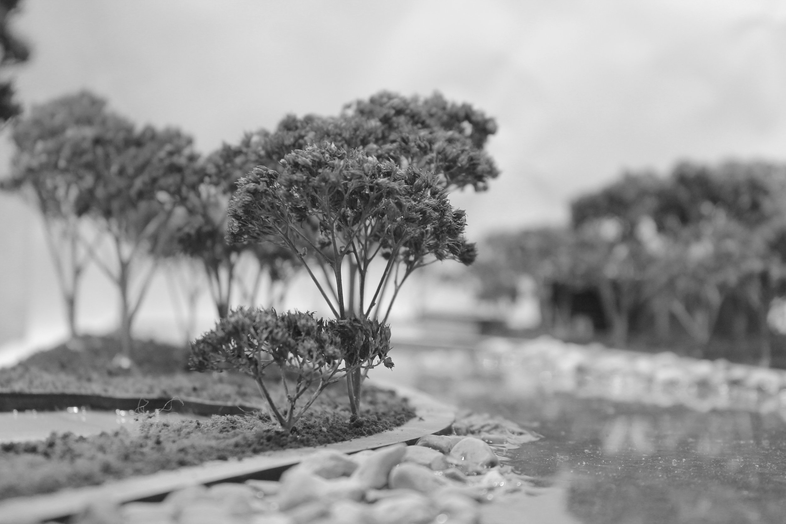 Site model photography