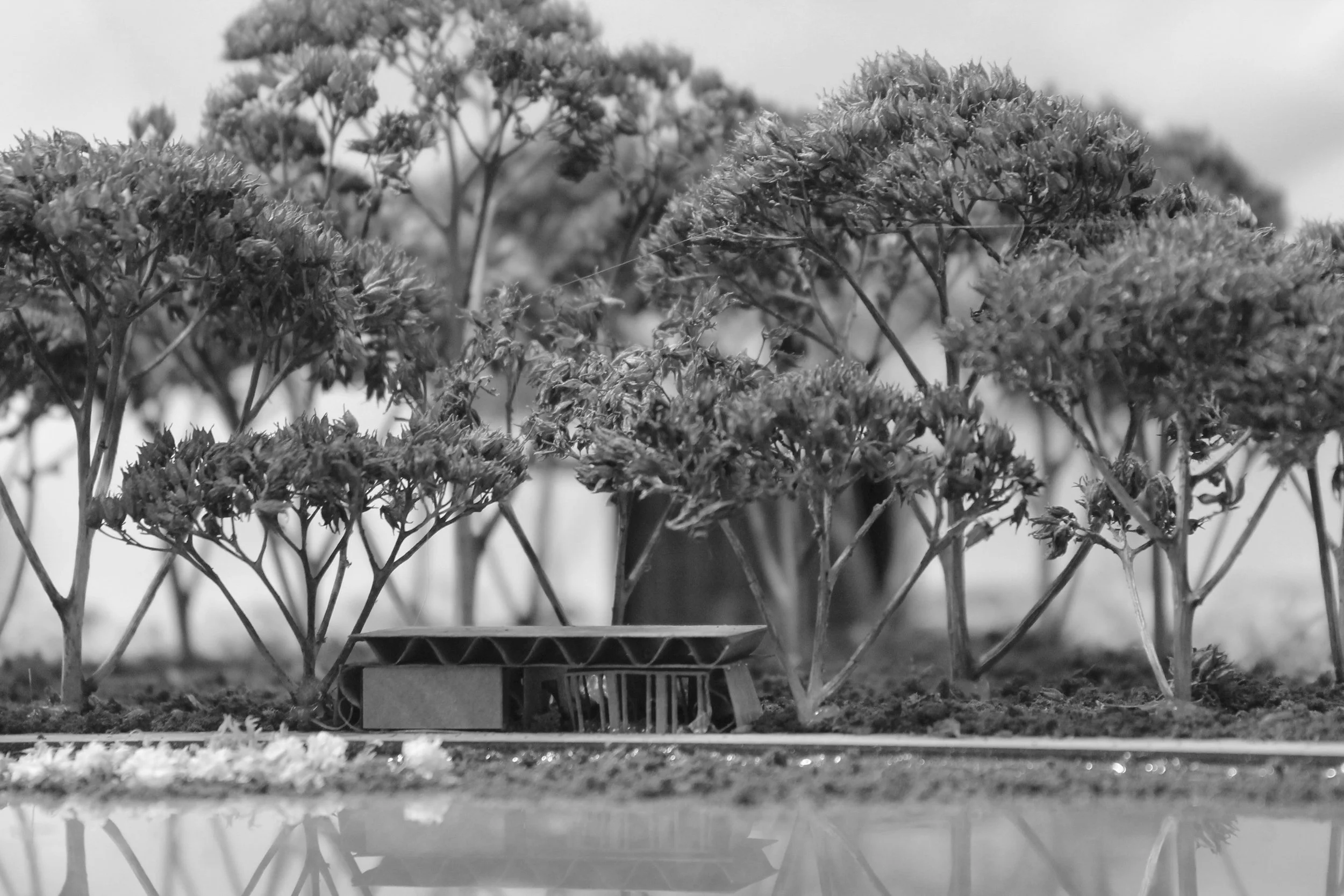 Site model photography