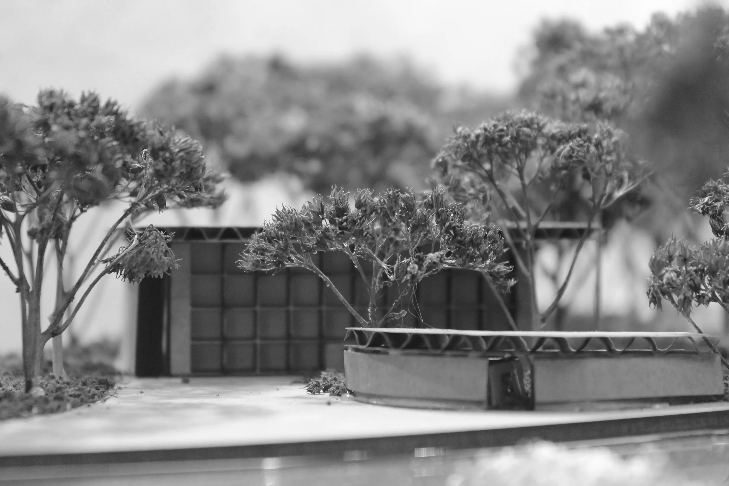 Site model photography