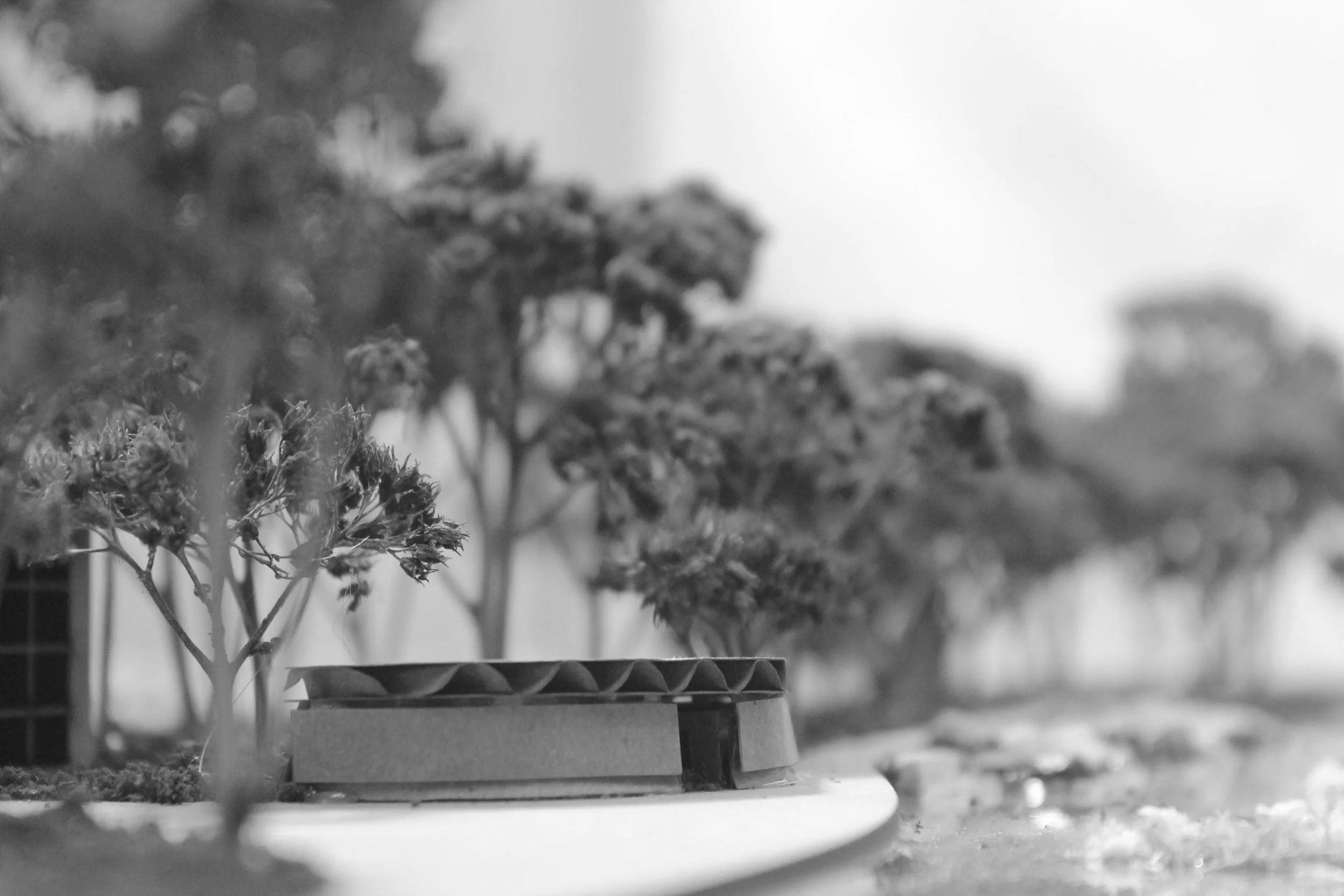 Site model photography