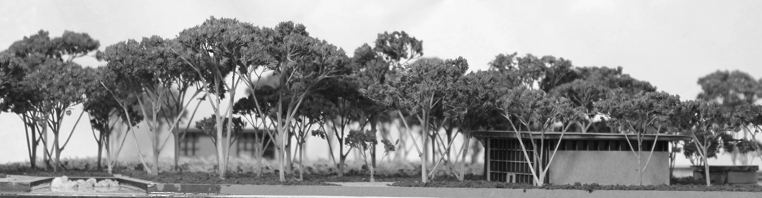 Site model photography