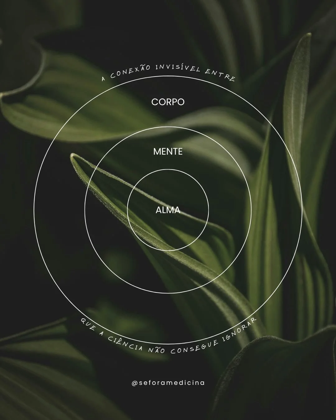 Nem toda dor nasce de uma les&atilde;o.
&Agrave;s vezes, ela surge quando nos afastamos daquilo que d&aacute; sentido &agrave; nossa vida.
A ci&ecirc;ncia ainda n&atilde;o consegue medir todas as dimens&otilde;es da experi&ecirc;ncia humana, mas sabe