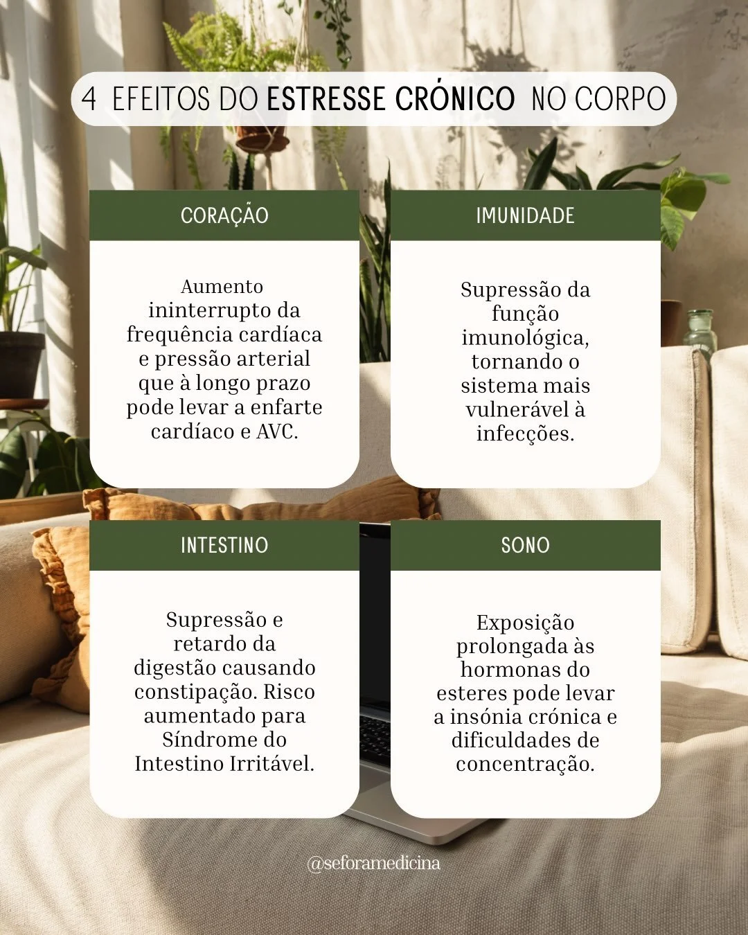 Os efeitos do estresse cr&oacute;nico no corpo s&atilde;o v&aacute;rios e muito mais significativos do que imagin&aacute;vamos h&aacute; 50 anos atr&aacute;s. Ele afeta muito mais do que o nosso humor e disposi&ccedil;&atilde;o. Afeta-nos bioqu&iacut
