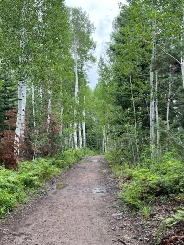 Final preparations for death