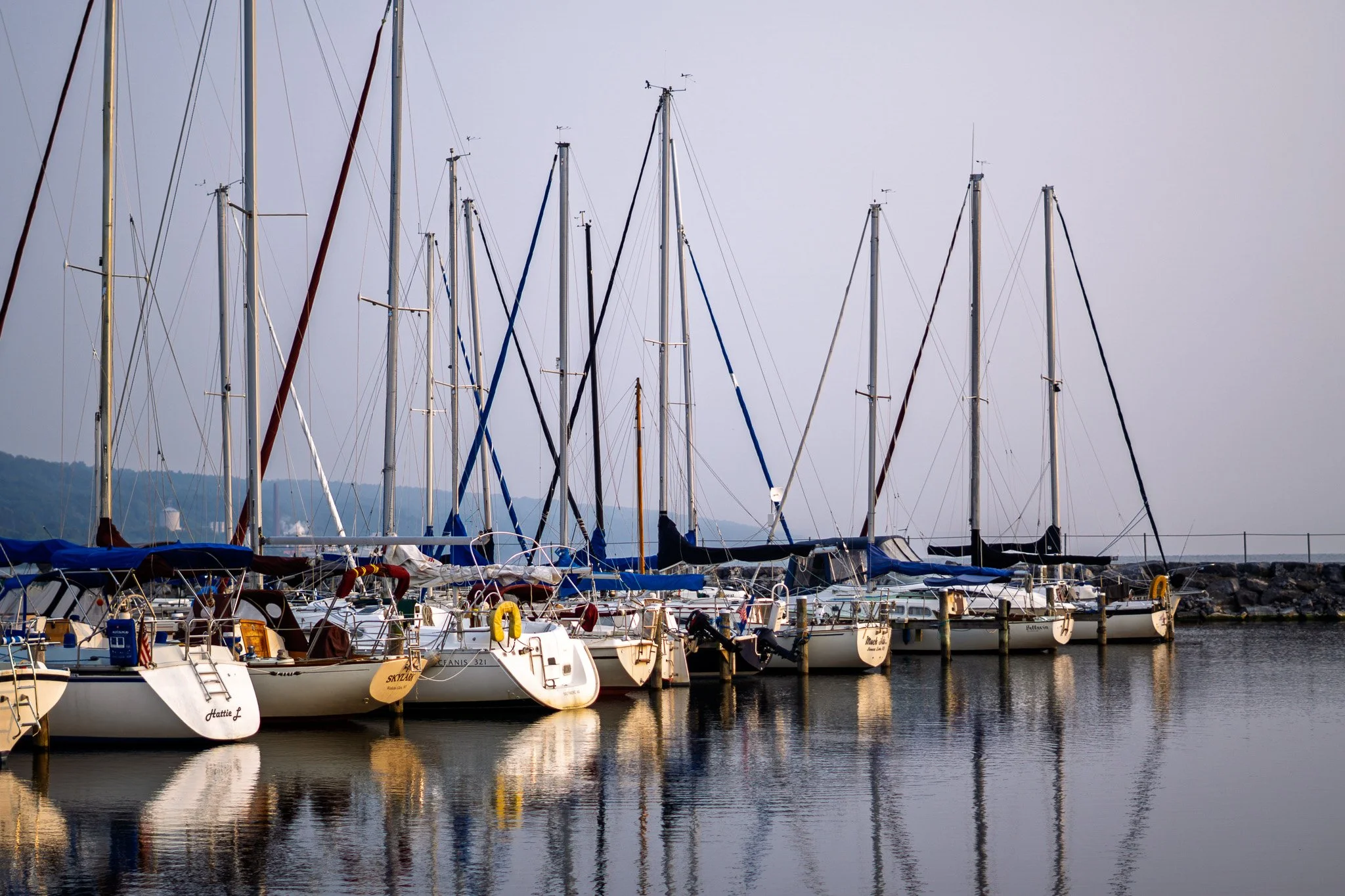 Multiple sailboats docked at a marina on calm water with a mountain in the background.