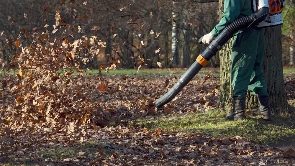 A person using a leaf blower to clear fallen leaves around a tree in a park.