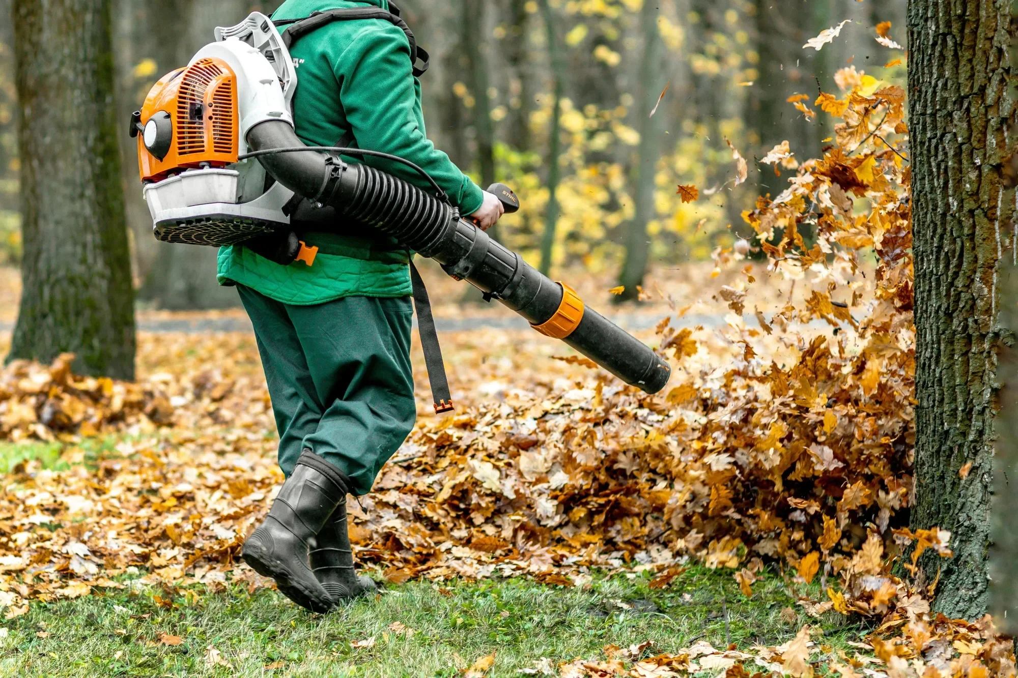 A person wearing green outdoor gear and rubber boots is using a leaf blower to clear fallen leaves from a yard in a wooded area.
