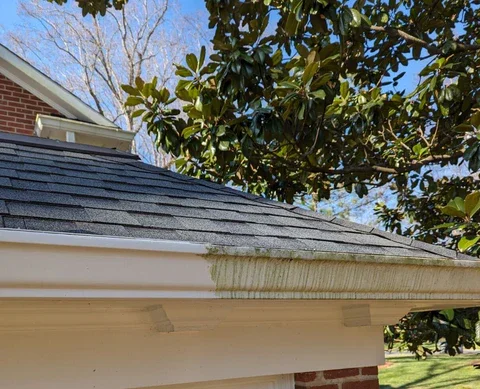 Close-up of a house gutter with moss and dirt buildup beneath the roof's edge, with trees and a blue sky in the background.
