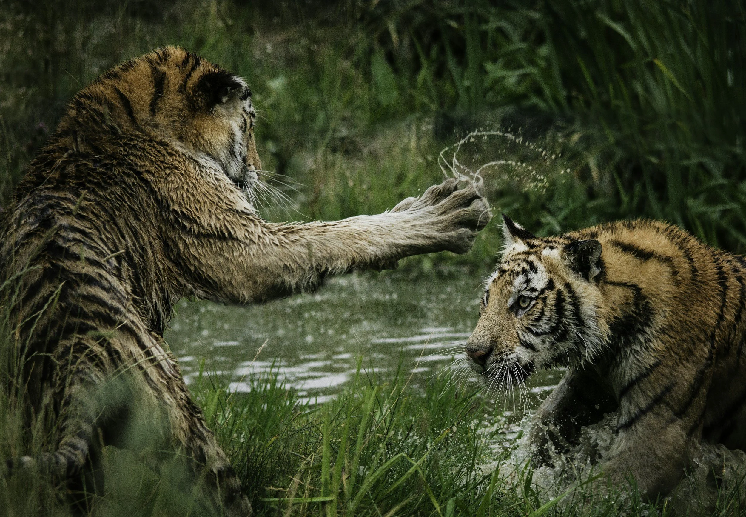When Couples Can't Stop Fighting: What's Really Happening and How to Find a Way Through