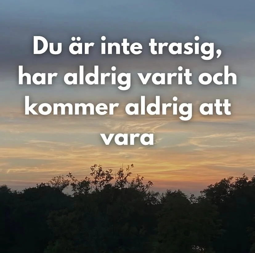 Du &auml;r f&ouml;dd hel, perfekt och unik. 
K&auml;nslan av att vara trasig, f*cked up eller att det &auml;r n&aring;got som &auml;r fel p&aring; dig &auml;r ett missf&ouml;rst&aring;nd fr&aring;n ett trauma och eller en dysfunktionell barndom. Det 