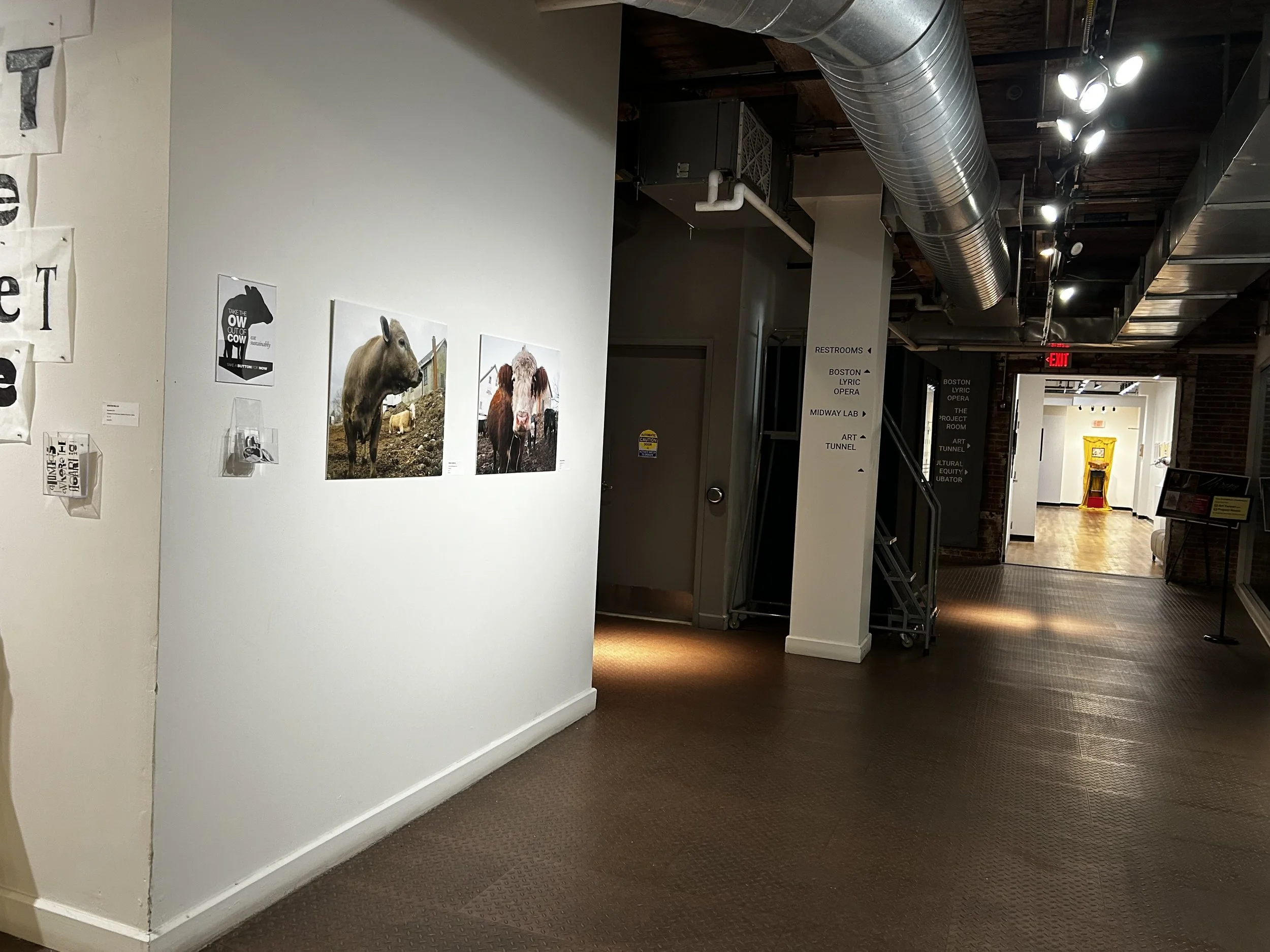 image7.jpeg