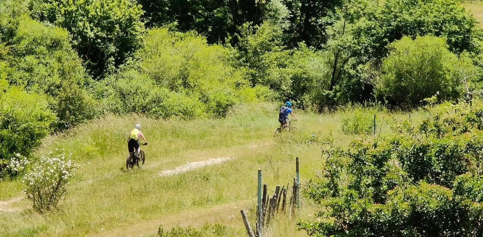 Two people biking on a dirt trail surrounded by greenery and trees.
