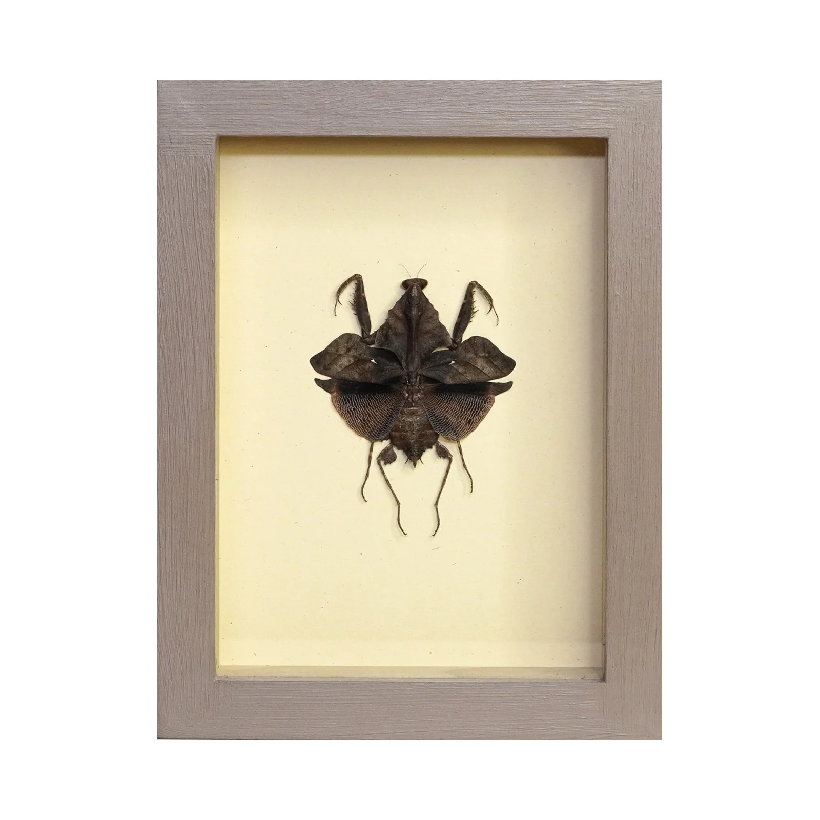 Shadowbox 7.jpg