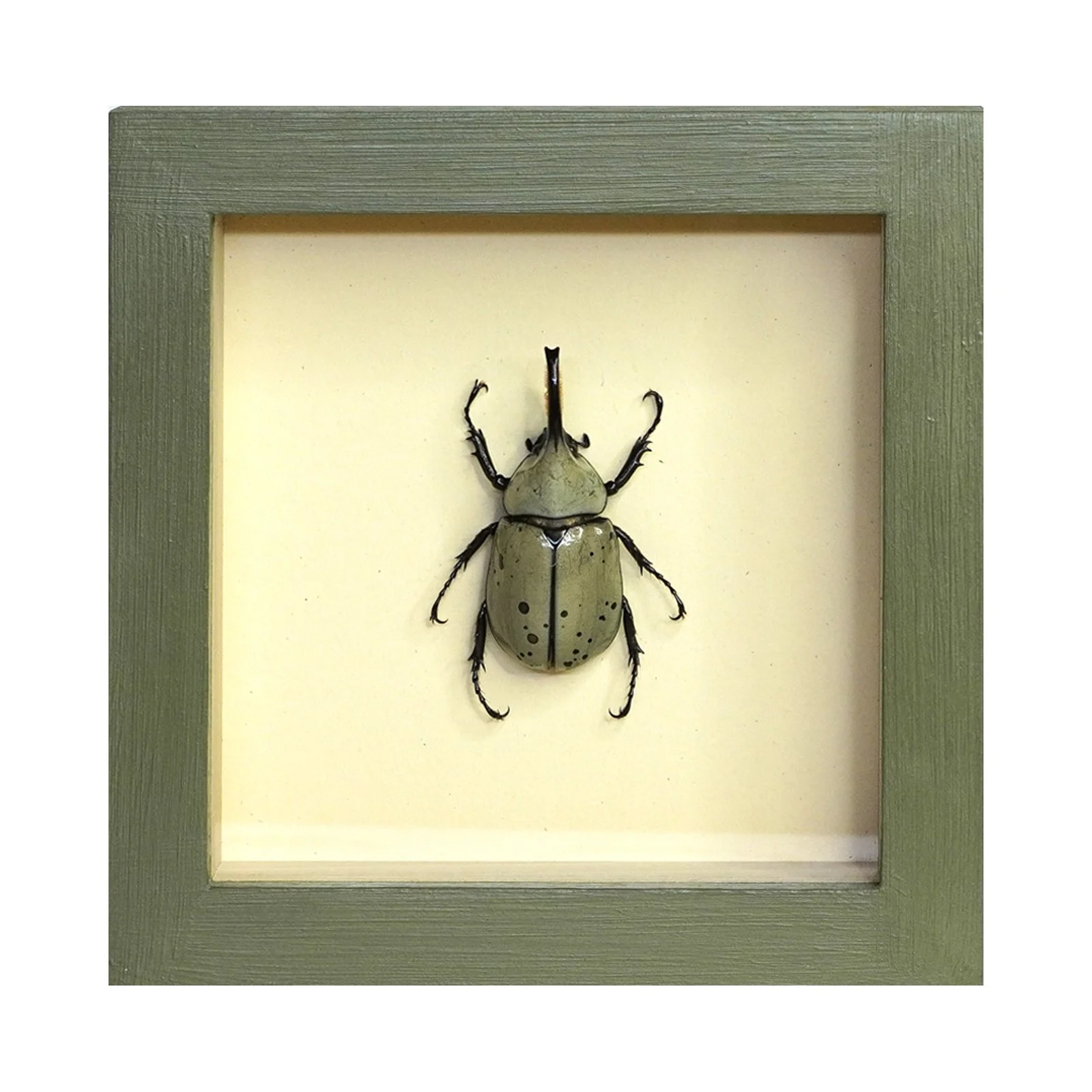 Shadowbox 46.jpg