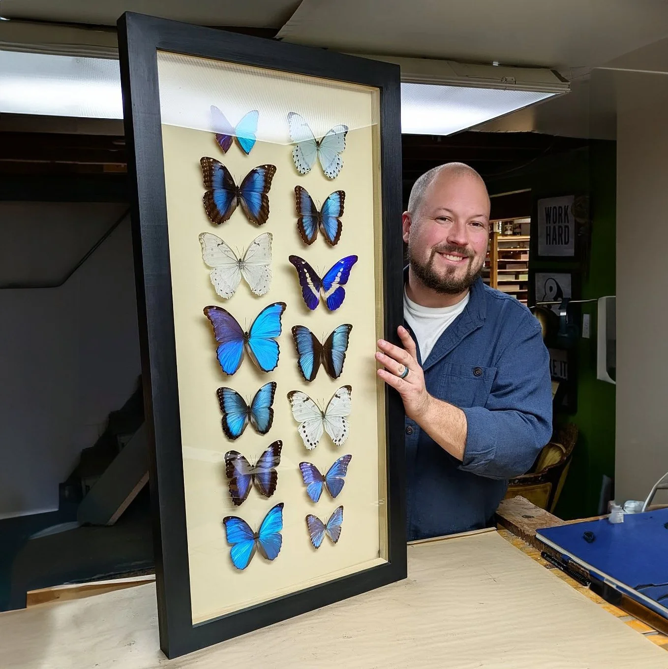 Square Morpho Photo.jpg