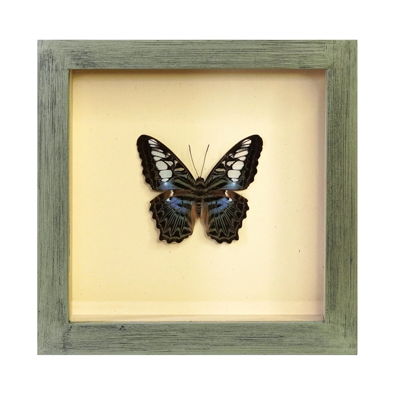 Shadowbox 10.jpg