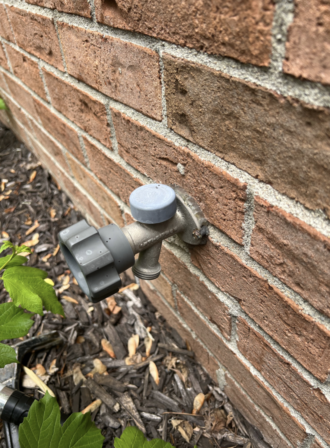 Close-up of an outdoor garden water spigot attached to a brick wall, with green leaves and mulch at the base.
