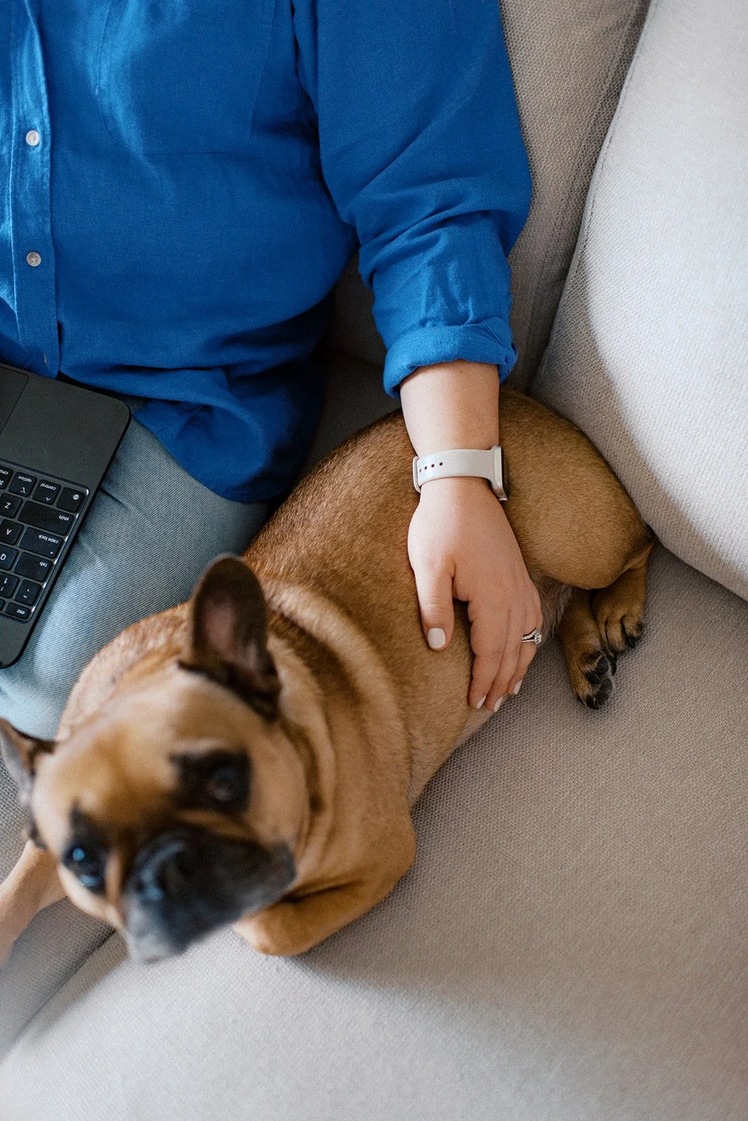 Woman in blue shirt sitting with laptop on couch with a dog next to her