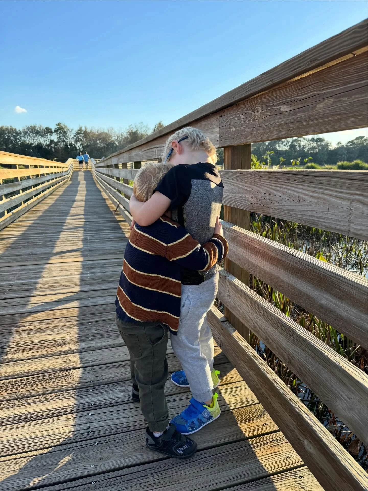 Becoming a mom has been the hardest job I&rsquo;ve ever taken on. I had no idea the extent of how hard it would be! As my body and brain became more frazzled and weak in early motherhood I knew I had to take my health to the next level. I discovered 