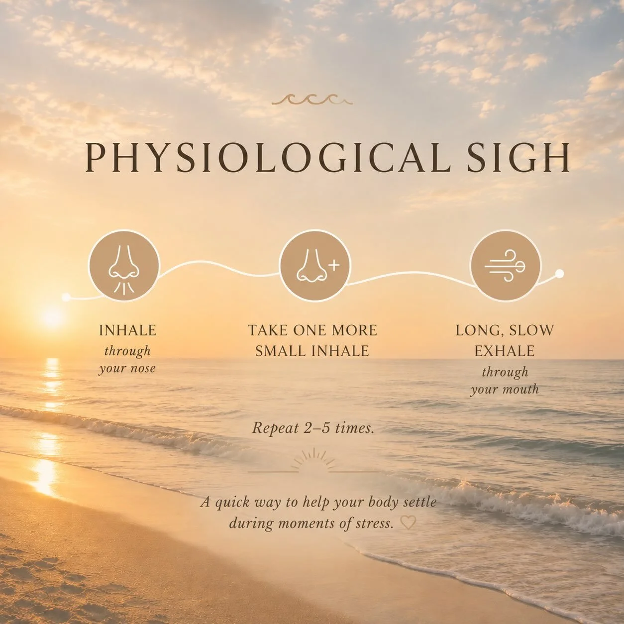 Feeling overwhelmed? Try this. 🌊

The physiological sigh is one of the fastest breathing techniques for helping your nervous system shift out of &ldquo;fight or flight.&rdquo;

✨ Inhale through your nose.
✨ Take one more small inhale.
✨ Slowly exhal