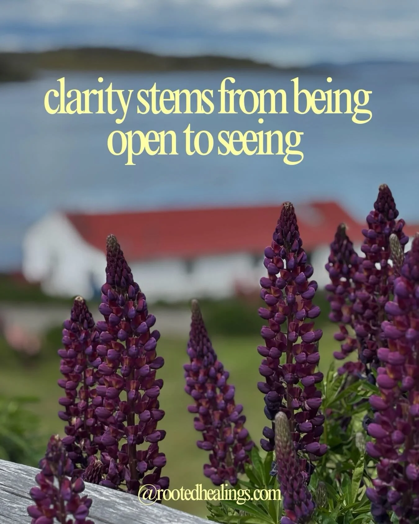 #familyconstellationsonline #constelacionesfamiliares #cincinnatihealing 
#familyconstellations