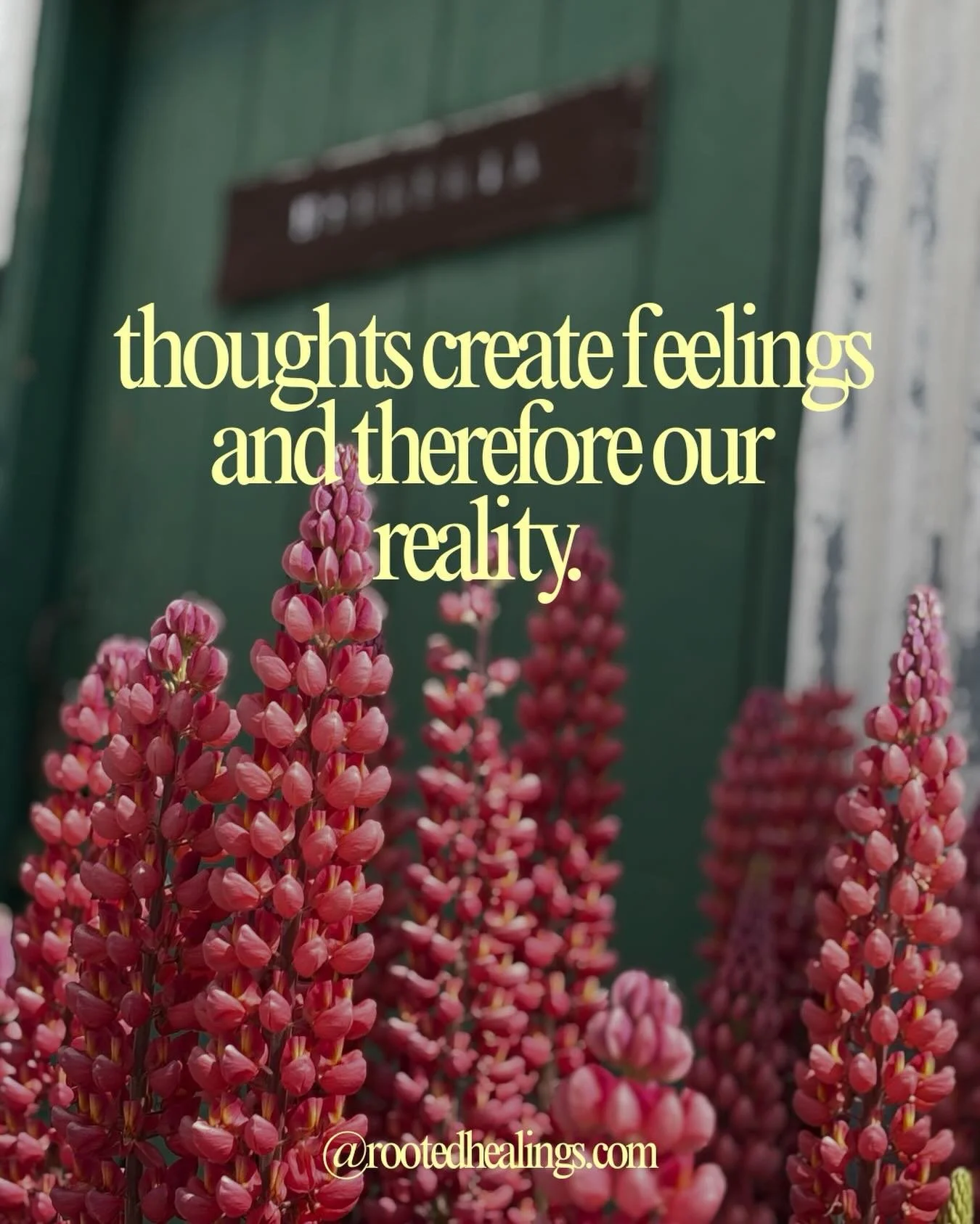 #familyconstellationsonline #constelacionesfamiliares #cincinnatihealing #cincinnatienergyhealing
#familyconstellations healingjourney 
systemicconstellations systemiccoaching cincinnatifamilyconstellations
systemichealing coachingsistemico 
constela