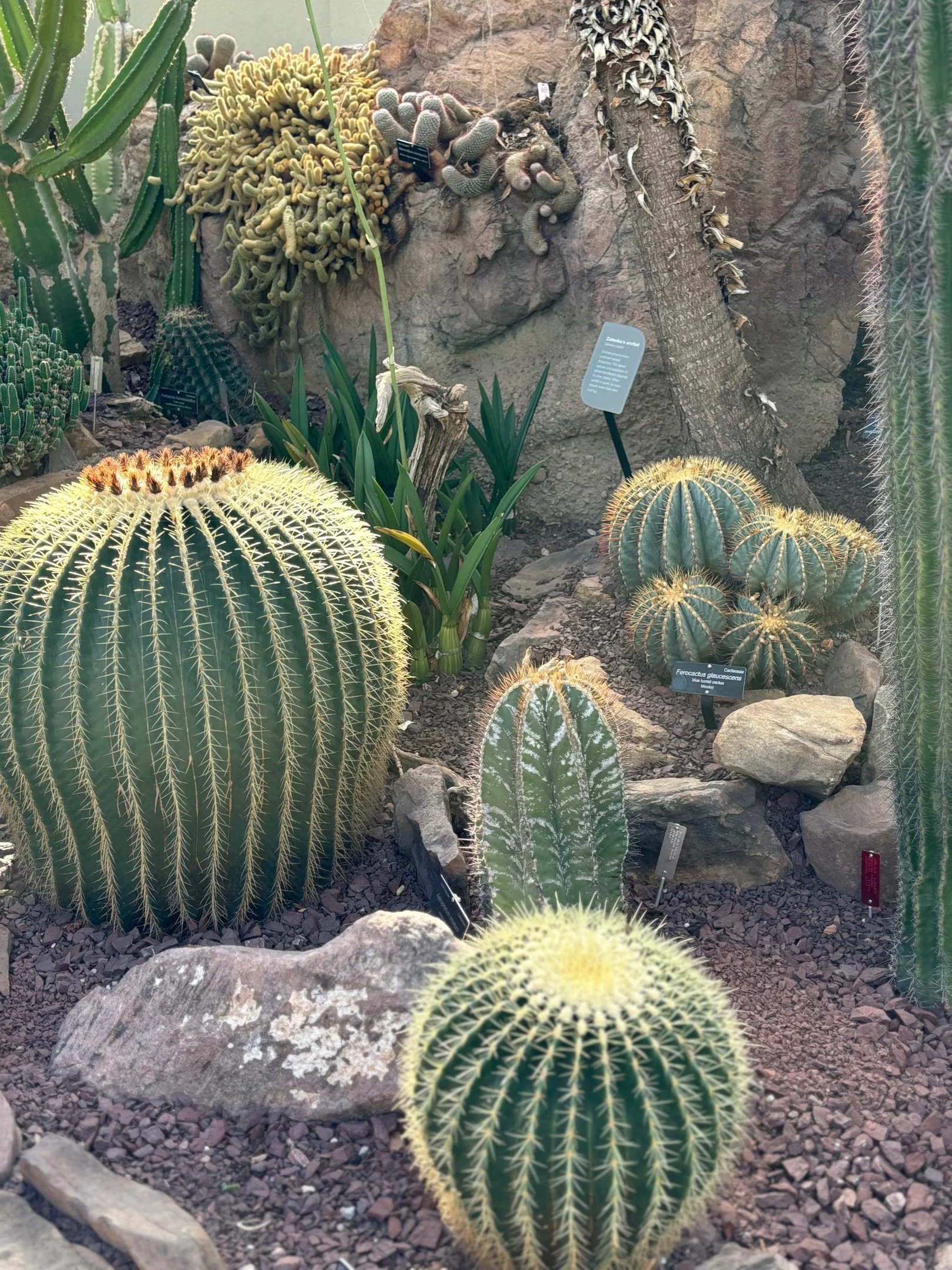 our thoughts create our reality