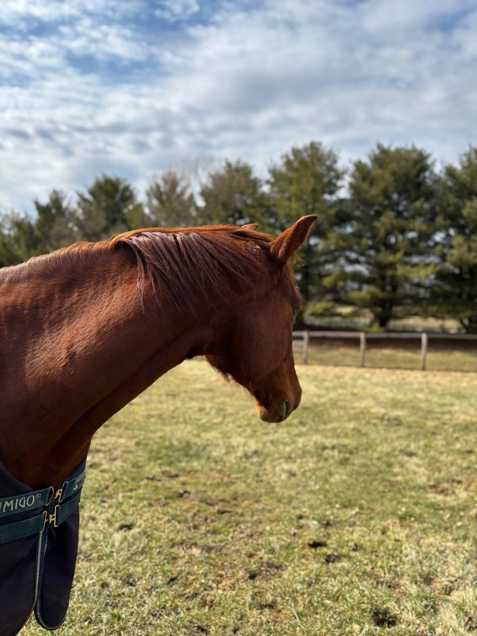 nondual thinking and its potential for rewriting our stories