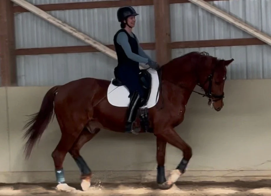 being open to what each day brings