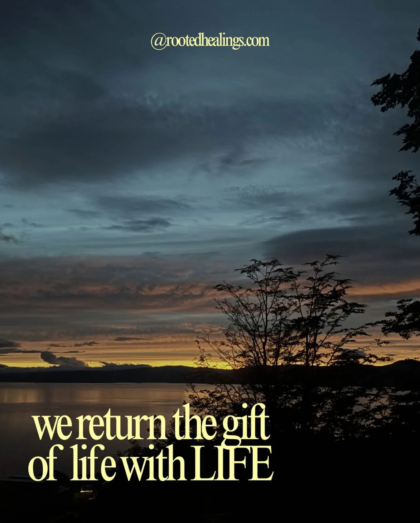 #familyconstellationsonline #cincinnatihealing 
#familyconstellations #healingjourney #cincinnatifamilyconstellations