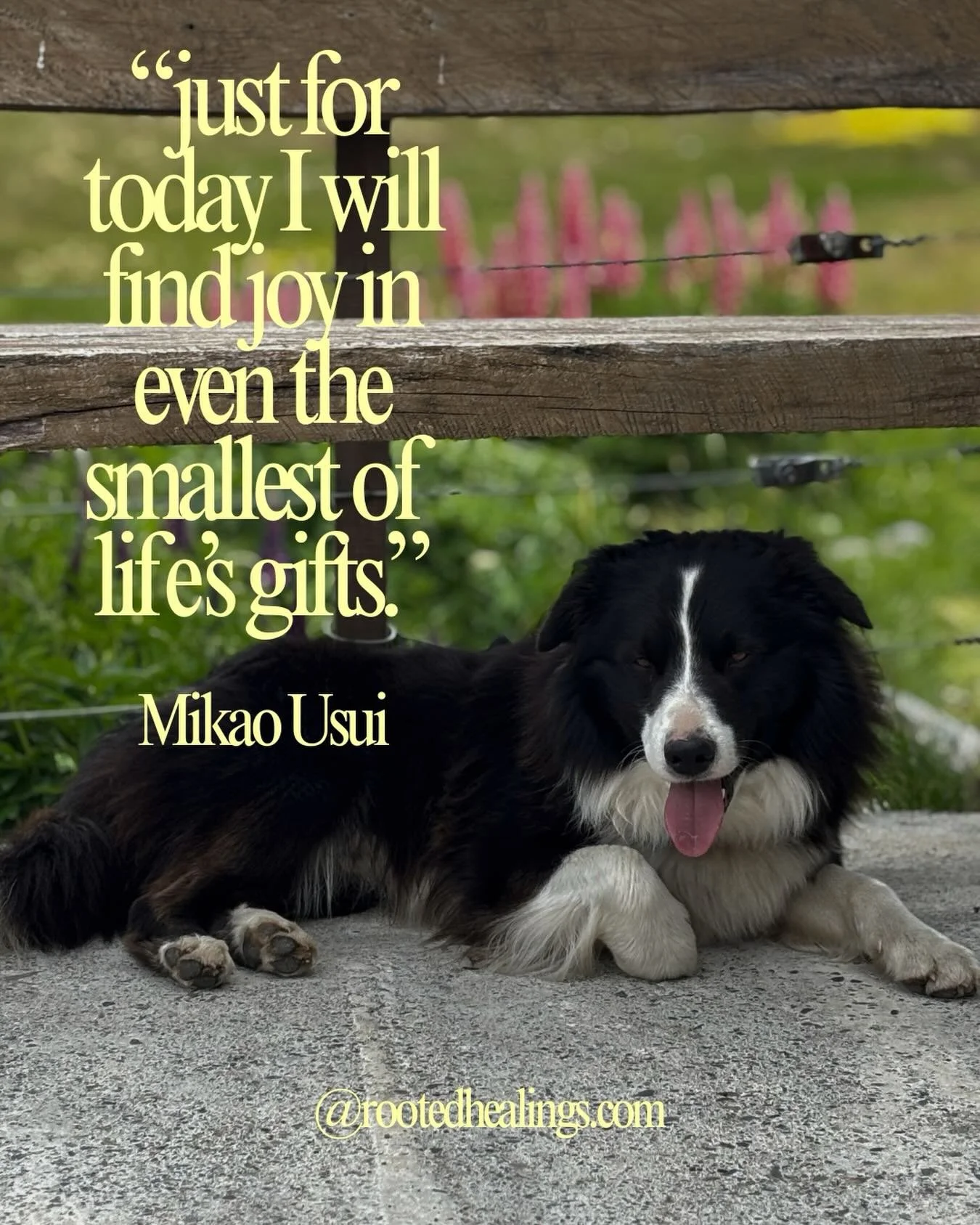 #reiki #cincinnatihealing #reikiprecepts