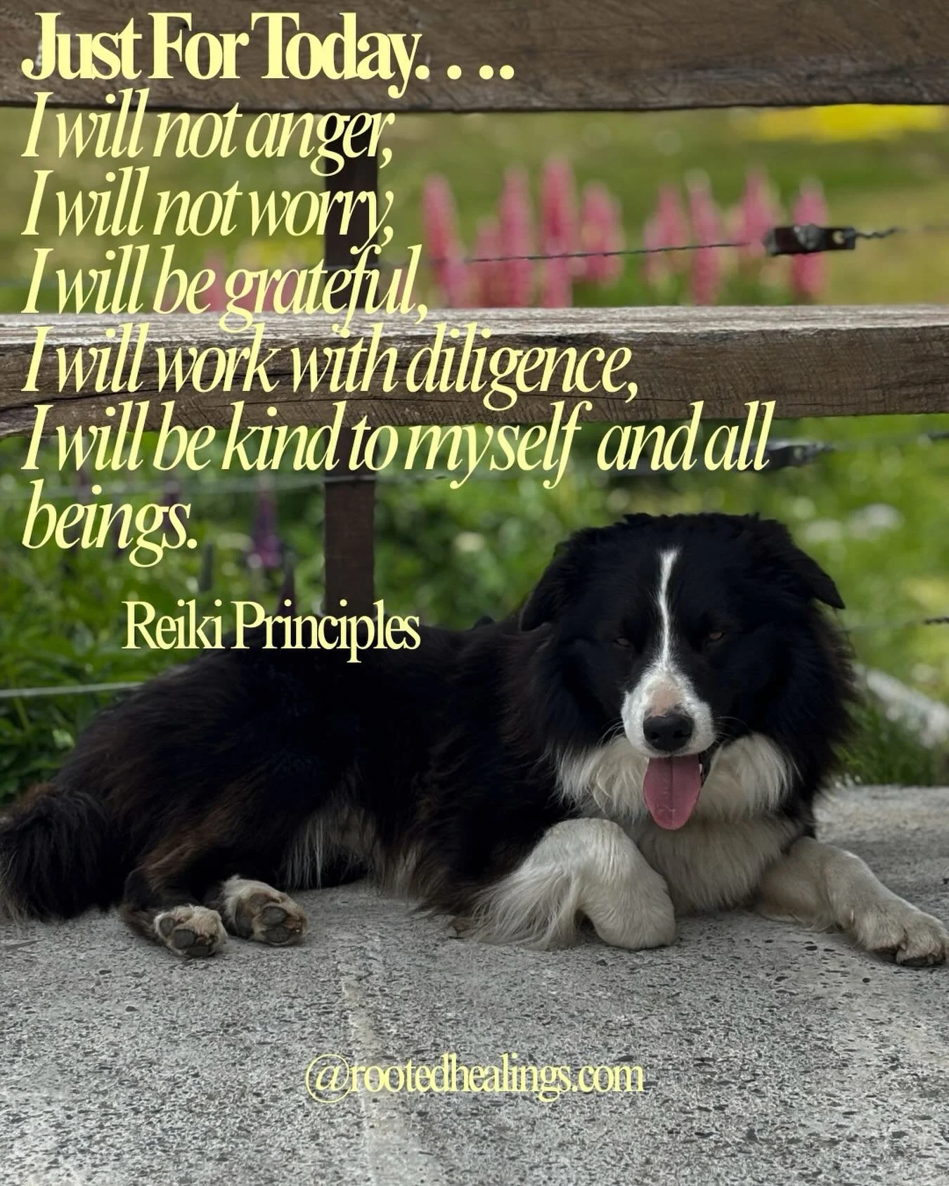 #reikiprinciples #cincinnatireiki #usui