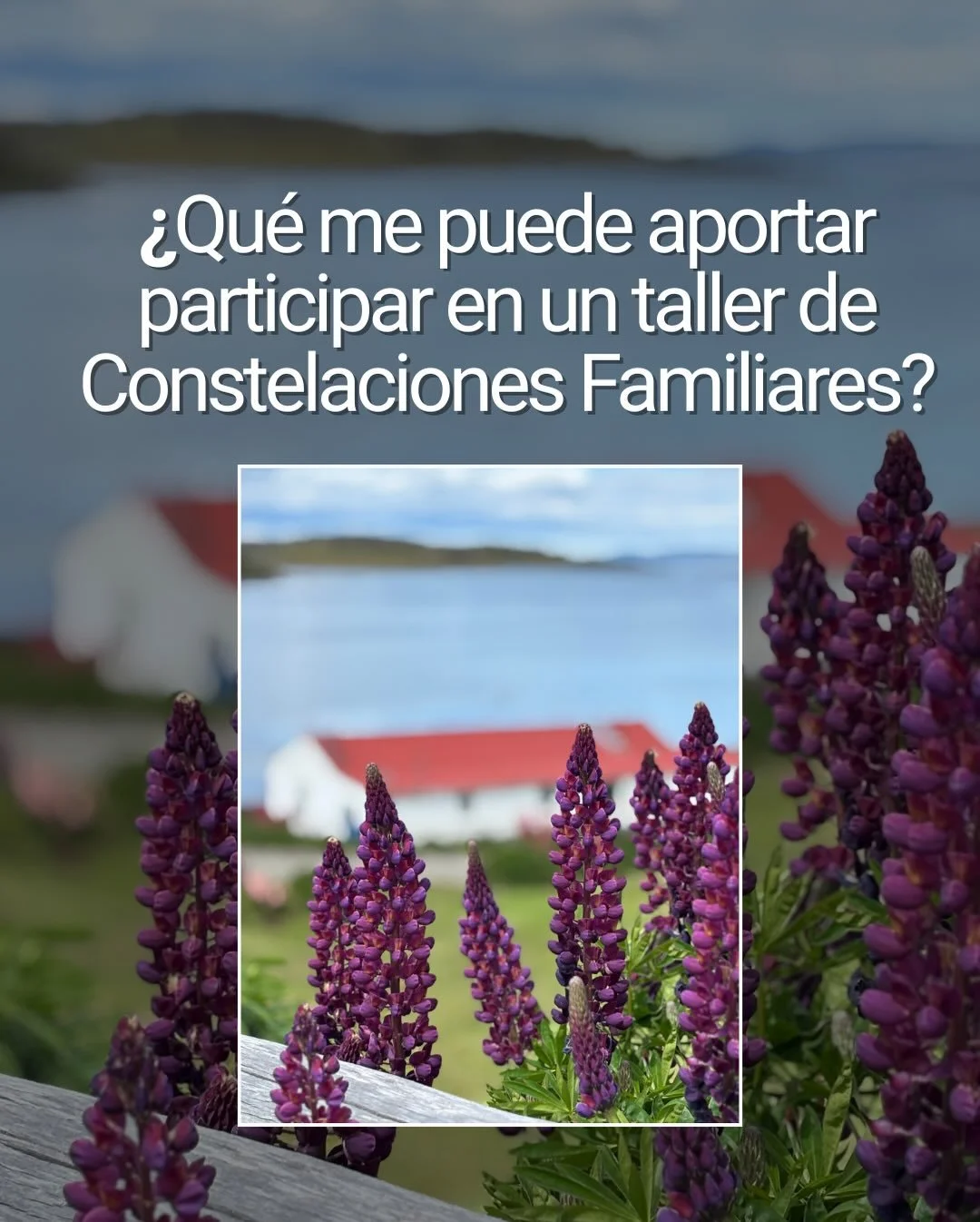 Si est&aacute;s en St Louis no te pierdas esta oportunidad de ser parte de este c&iacute;rculo donde trabajaremos con mucho amor y respeto mirando y honrando nuestra historia. Es una gran oportunidad para crecer, mirarnos y elegir lo que realmente no