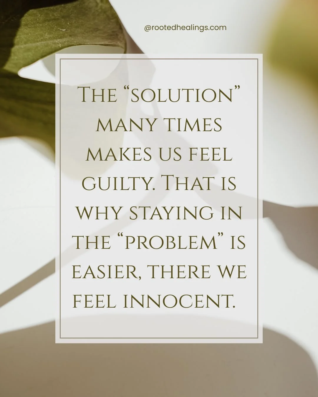 #cincinnatifamilyconstellations #constelacionesfamiliares #constelar #familyconstellations #ʜᴇᴀʟɪɴɢᴊᴏᴜʀɴᴇʏ