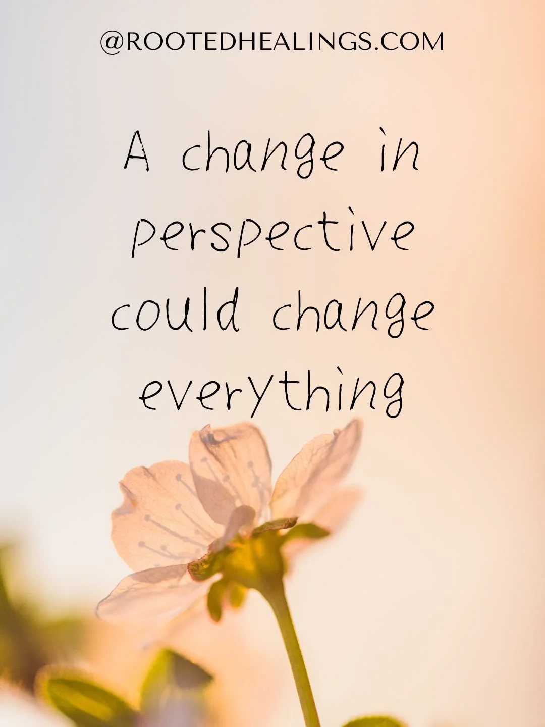 If you are ready to gain a different perspective, one that frees you to take the steps towards the life you want, don&rsquo;t miss this chance. April 12 at Vitality&rsquo;s Cincinnati from 9-4:00 we are having a Family Constellations workshop with An