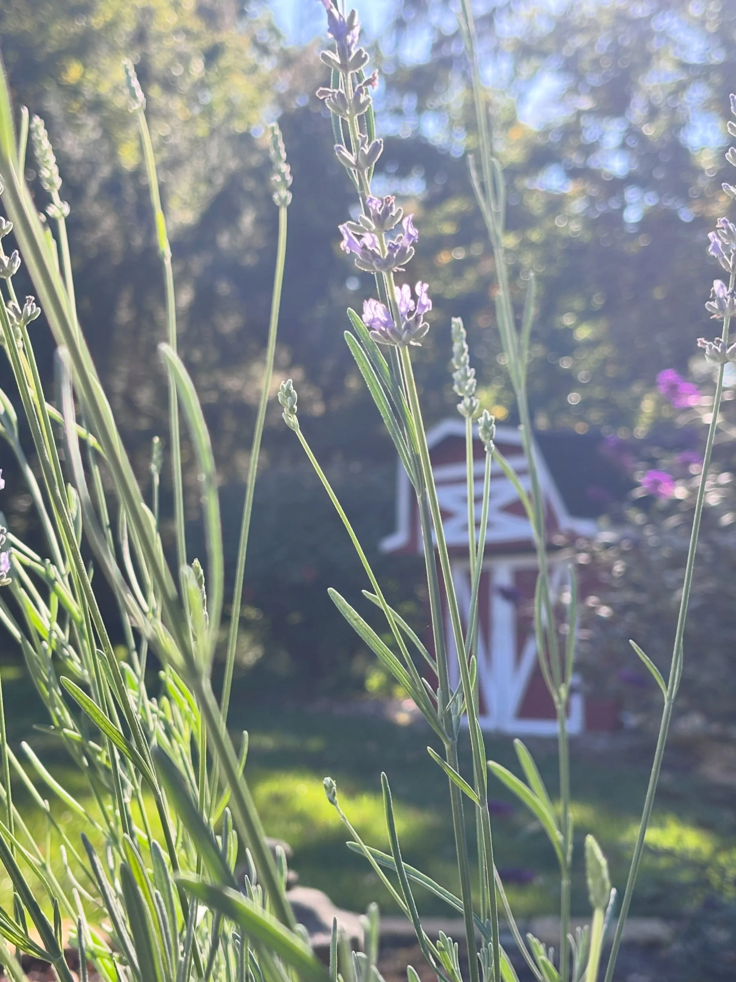 Maybe we reach a time in our lives when we awaken a little bit more, begin to question the way &ldquo;things have always been&rdquo;. We might question what we have  put up with, and how in doing so we have betrayed ourselves.  Perhaps comments and a