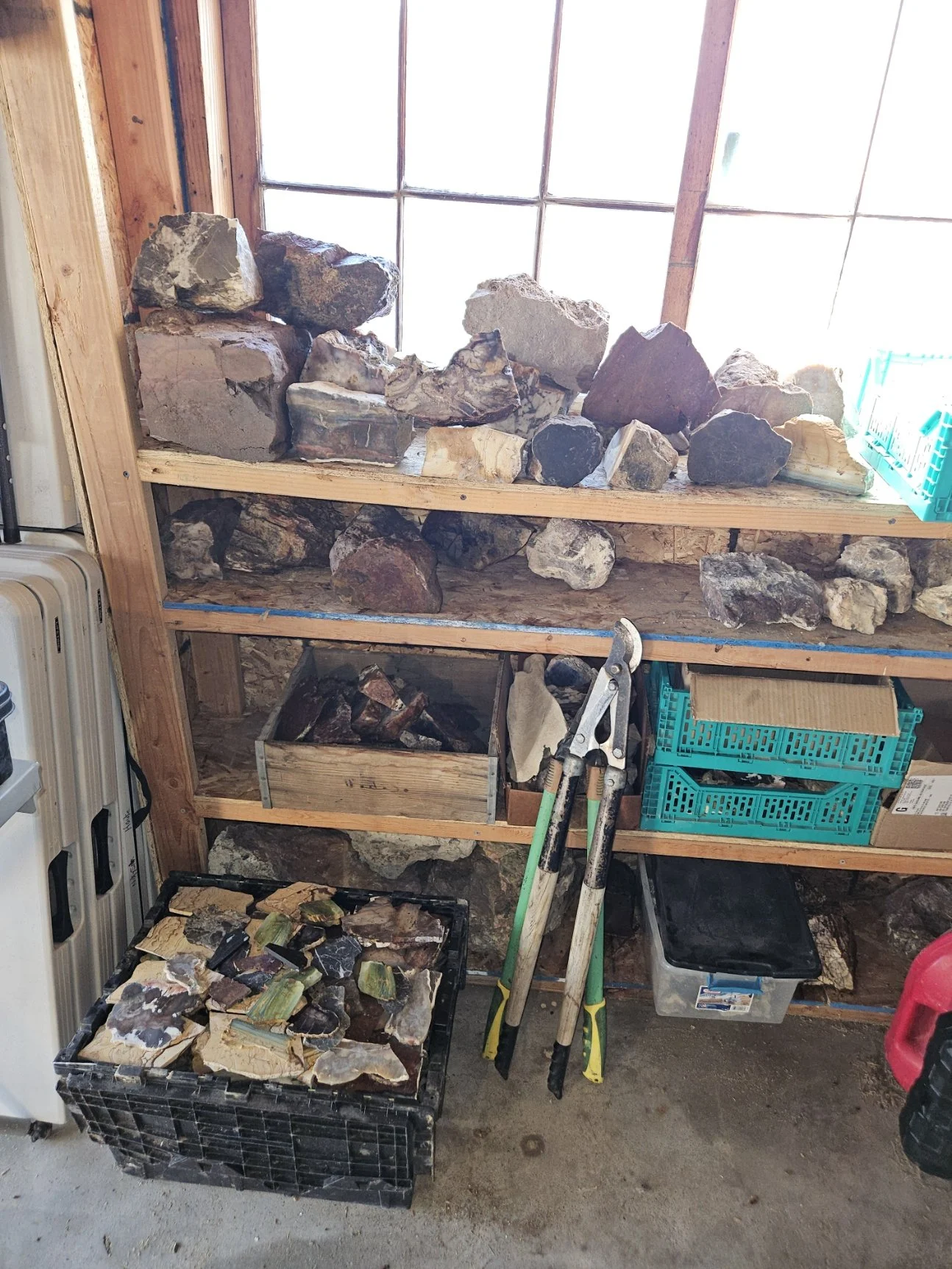 Collection of various large rocks and stones on wooden shelves in a workshop or storage area.
