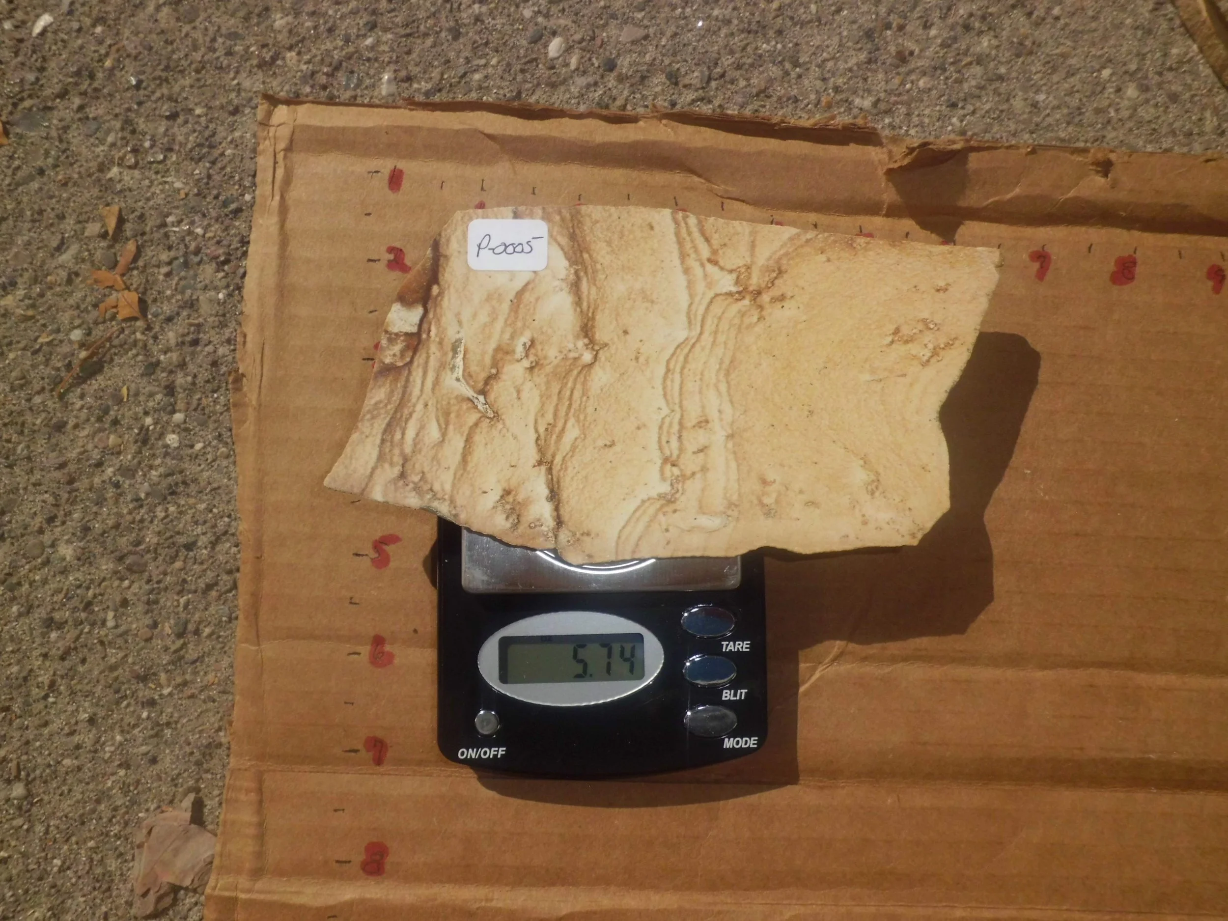 Picture Jasper